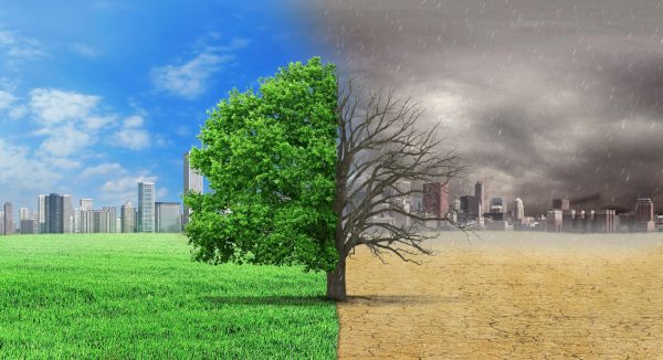 CLIMATE CHANGE shutterstock_492450874