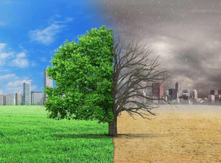 CLIMATE CHANGE shutterstock_492450874