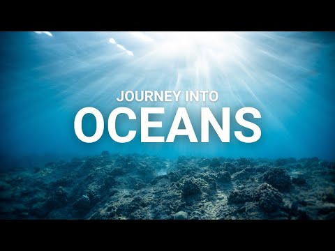 Wild For Life Journeys - Oceans