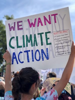 envato climate-change-protest-sign-ZHN9TWB