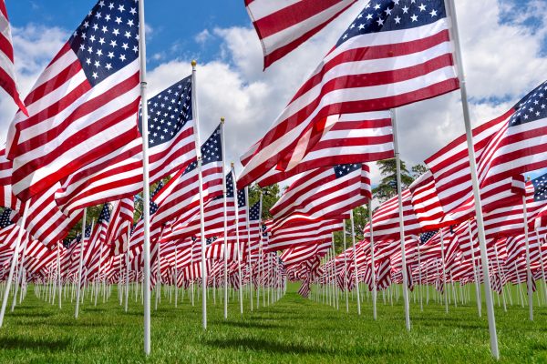 american-flags-on-a-green-grass-4LDJQV9