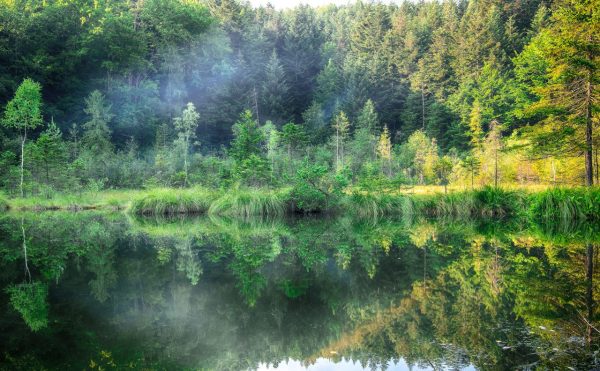green-forest-dramatic-sky-meadow-and-reflection-in-KXSQFRH