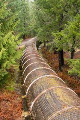 resource-pipeline-cuts-through-national-forest-TQRANKD