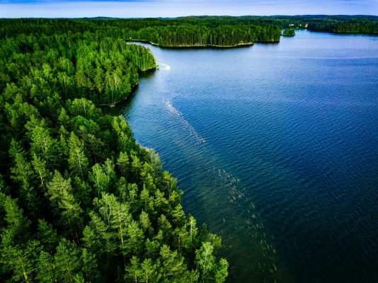 aerial-view-of-blue-lake-and-green-forest-in-finla-FXHX2DF