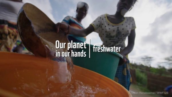 How We're Helping Our Planet's Freshwater