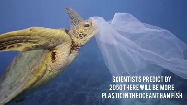 Plastic Pollution PSA Earth Day 2019