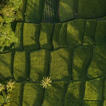 nature-background-in-green-color-aerial-view-of-g-2022-03-02-18-40-38-utc