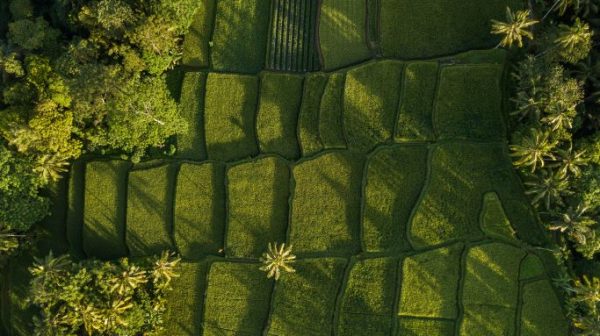 nature-background-in-green-color-aerial-view-of-g-2022-03-02-18-40-38-utc