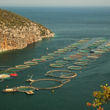 Fish farm cages on bay in Mediterranean sea, Greece.