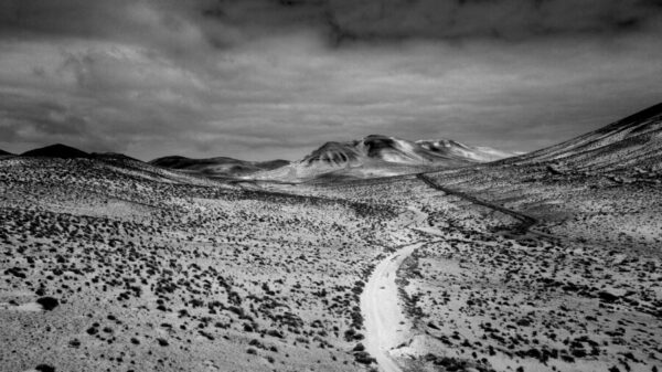 Black and white dramatic landscape with climate change effects f