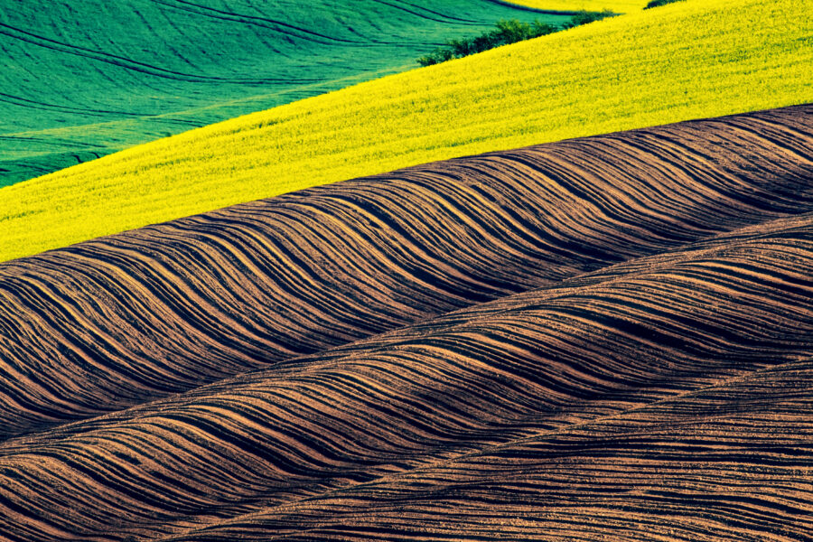 Abstract landscape with agricultural fields