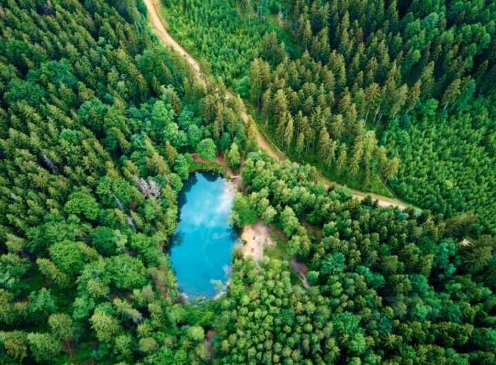 aerial-view-of-blue-colored-forest-lake-in-poland-2022-12-16-12-49-02-utc