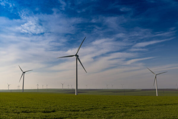 Wind farm or wind park