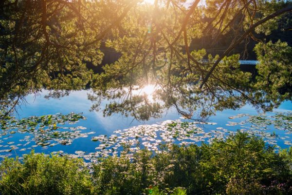 scenic-calm-lake-place-2023-11-27-05-20-48-utc